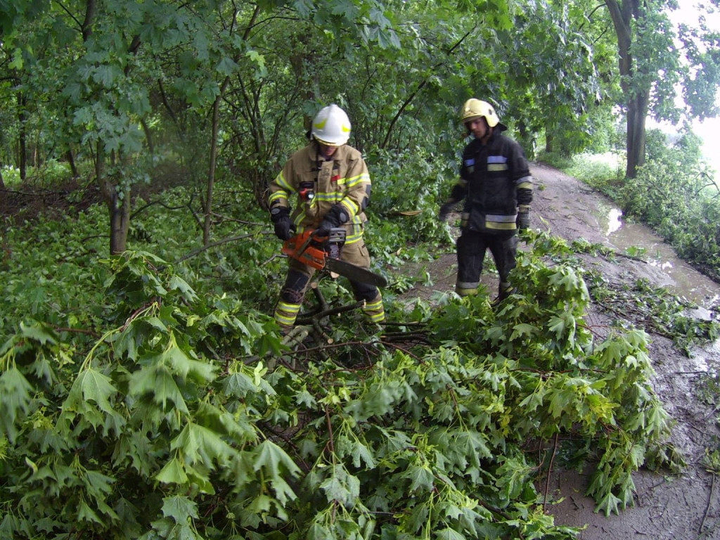 Obraz po burzy, czyli połamane drzewa i gałęzie