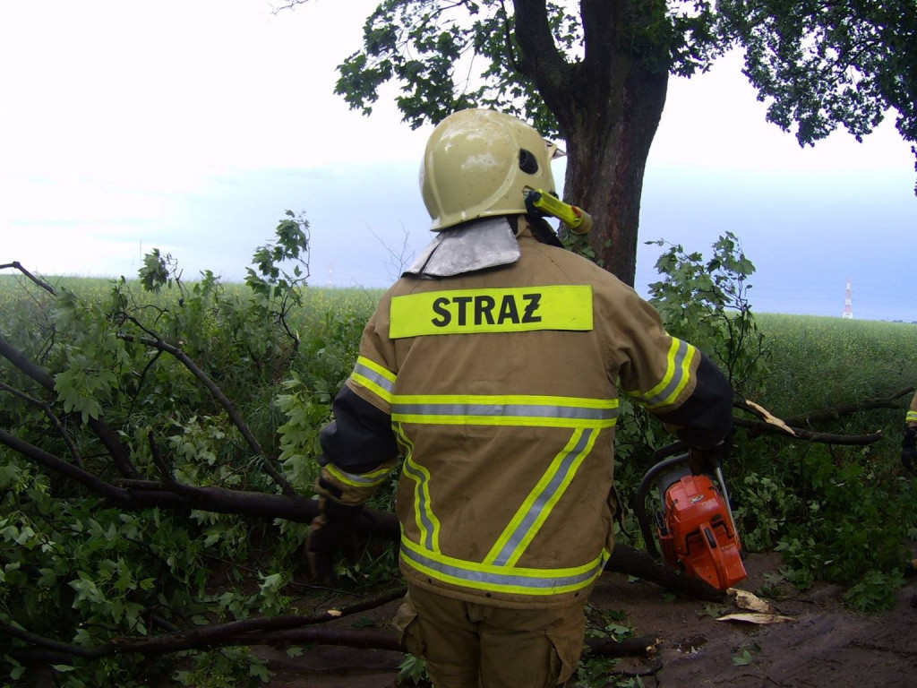 Obraz po burzy, czyli połamane drzewa i gałęzie