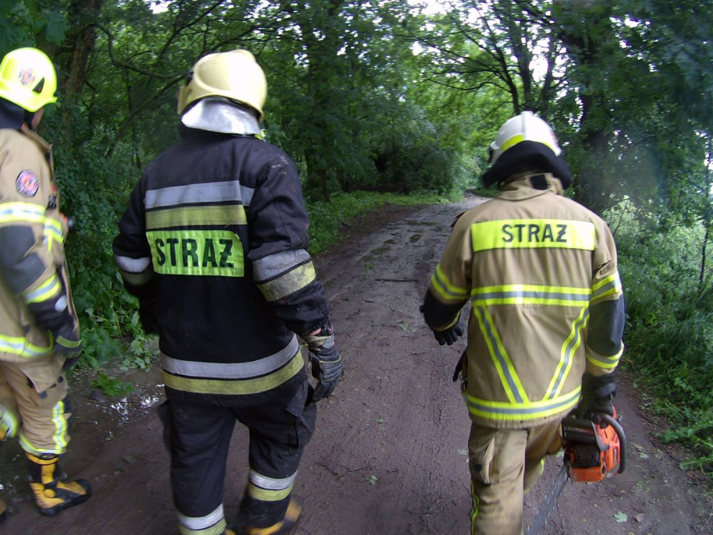 Obraz po burzy, czyli połamane drzewa i gałęzie