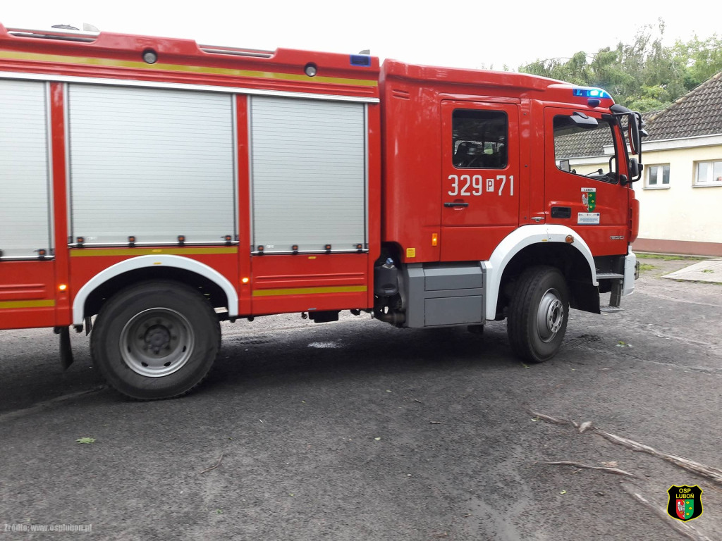 Obraz po burzy, czyli połamane drzewa i gałęzie