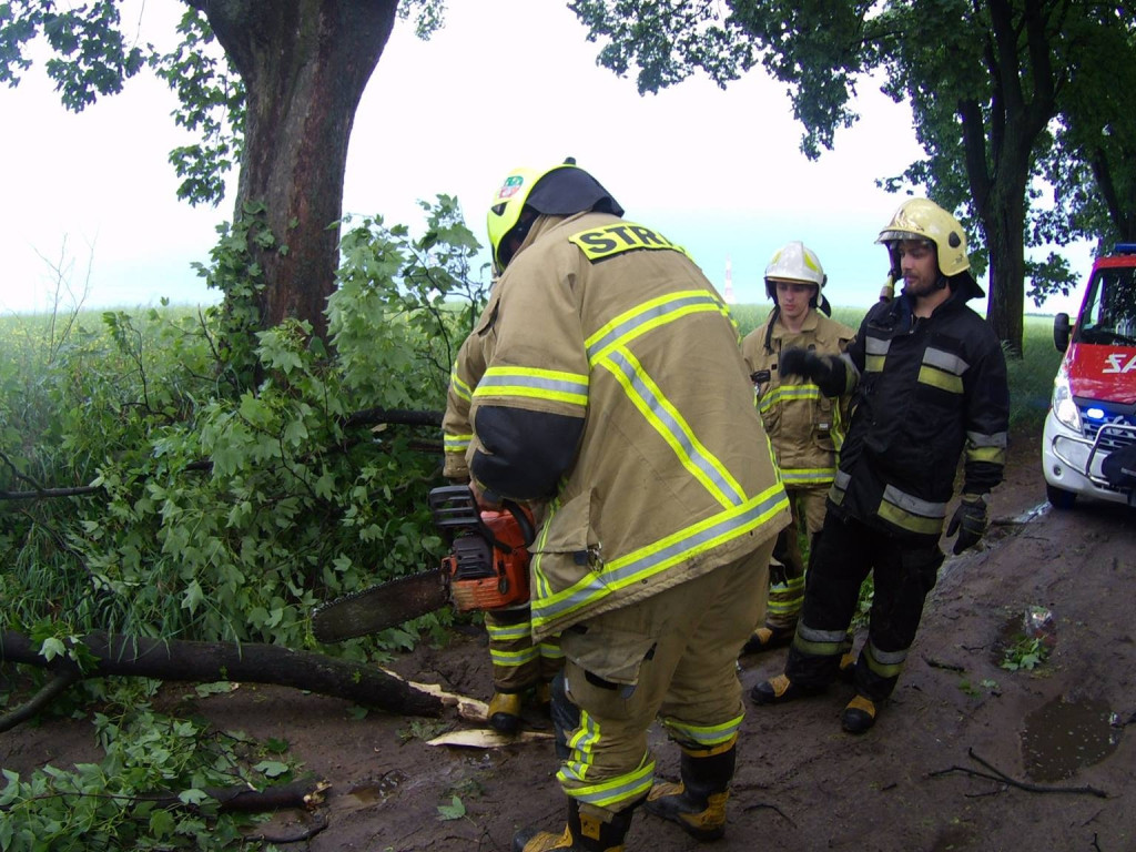Obraz po burzy, czyli połamane drzewa i gałęzie