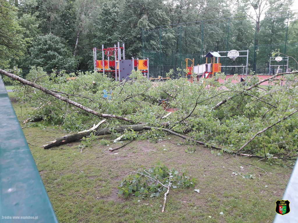 Obraz po burzy, czyli połamane drzewa i gałęzie