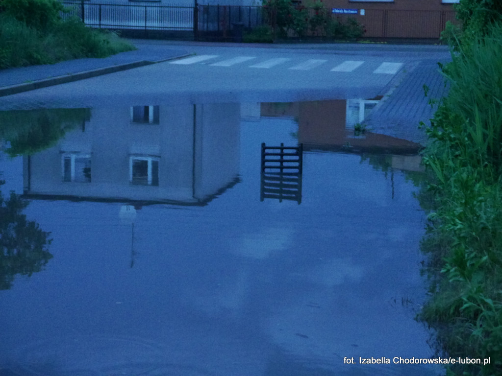 Luboń znów pływał... - fotorelacja