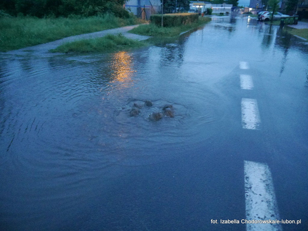 Luboń znów pływał... - fotorelacja