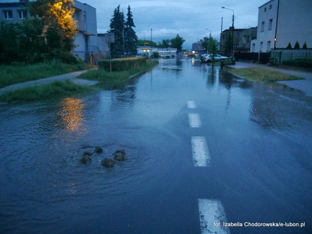 Luboń znów pływał... - fotorelacja