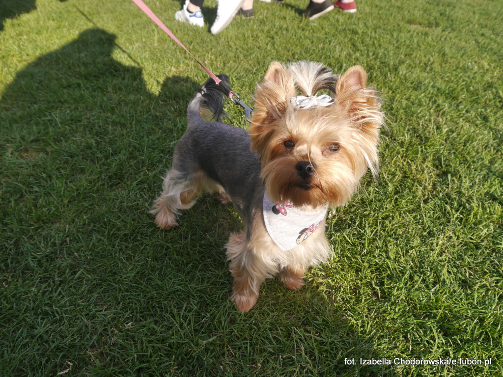 Ruszyły Dni Lubonia 2017 - FOTORELACJA