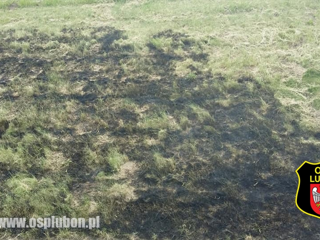 Spłonął samochód na A2