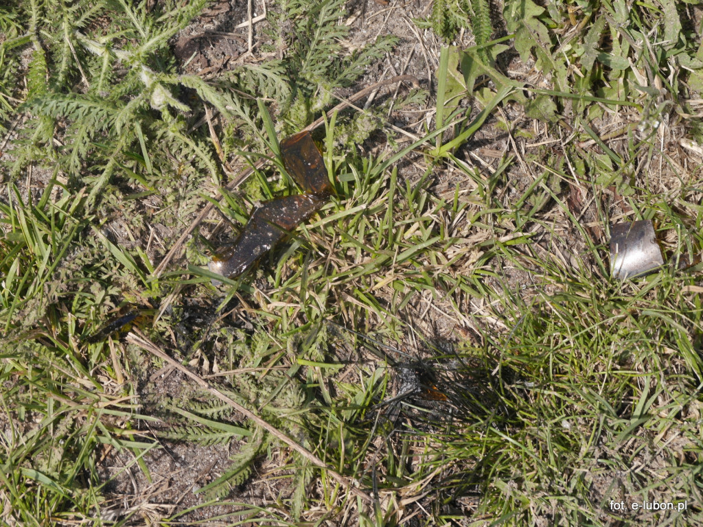 Bezmyślne postępowanie