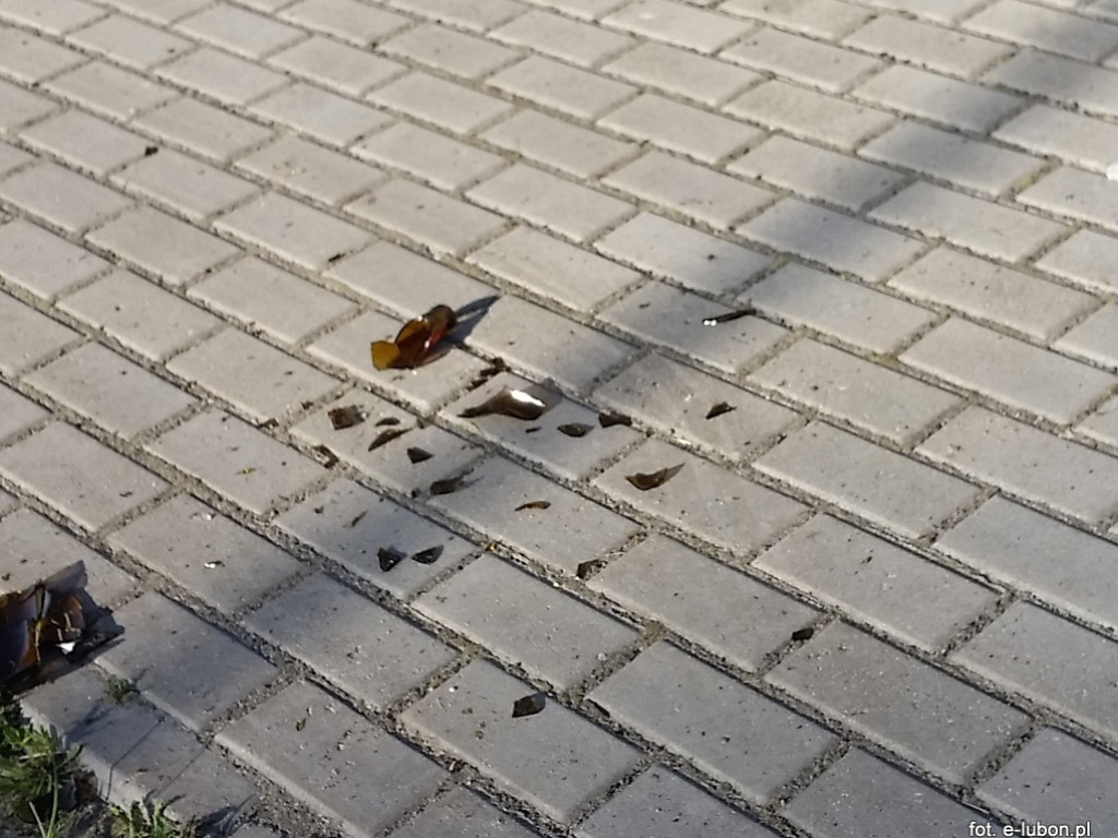 Bezmyślne postępowanie