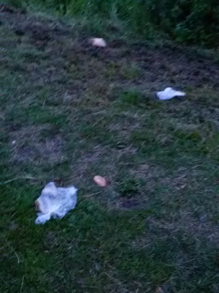 Bałagan Nad Żabinką [odpowiedź]