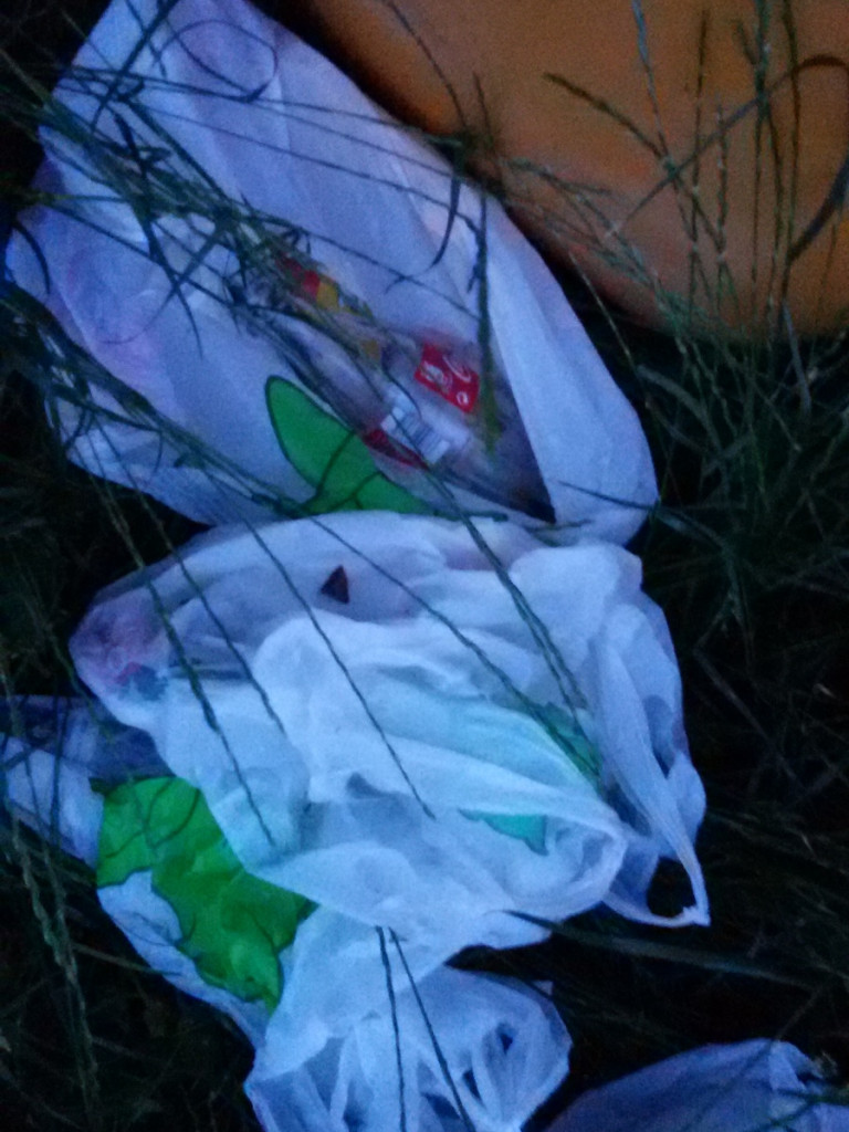 Bałagan Nad Żabinką [odpowiedź]