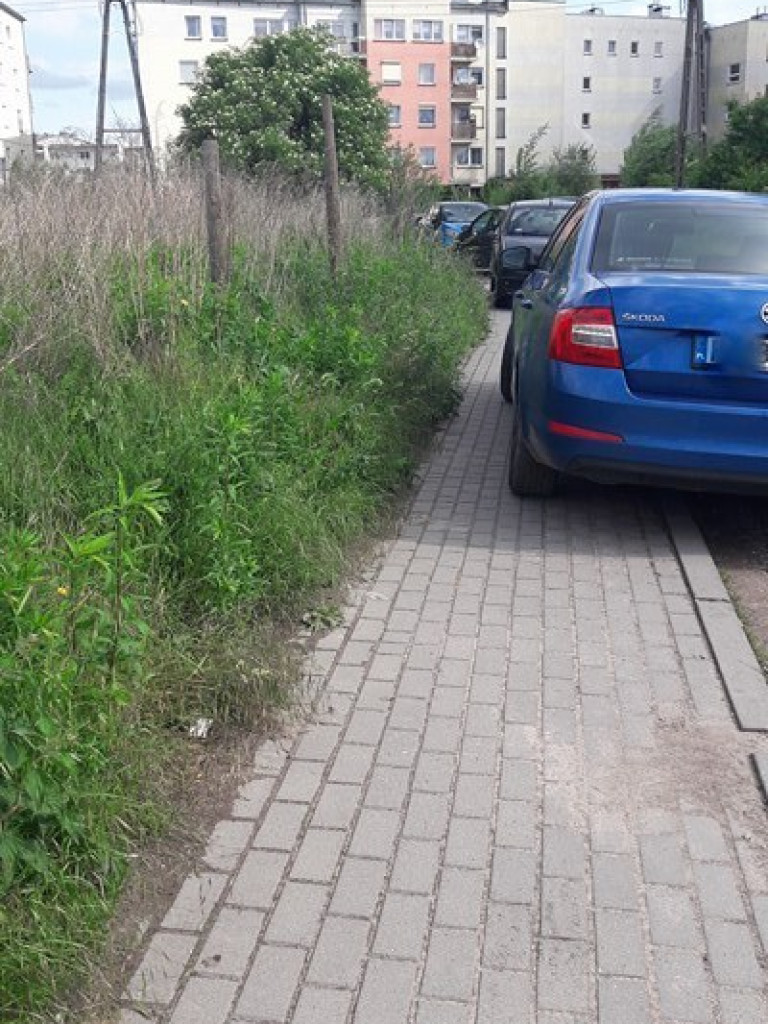 Mistrzowie parkowania?