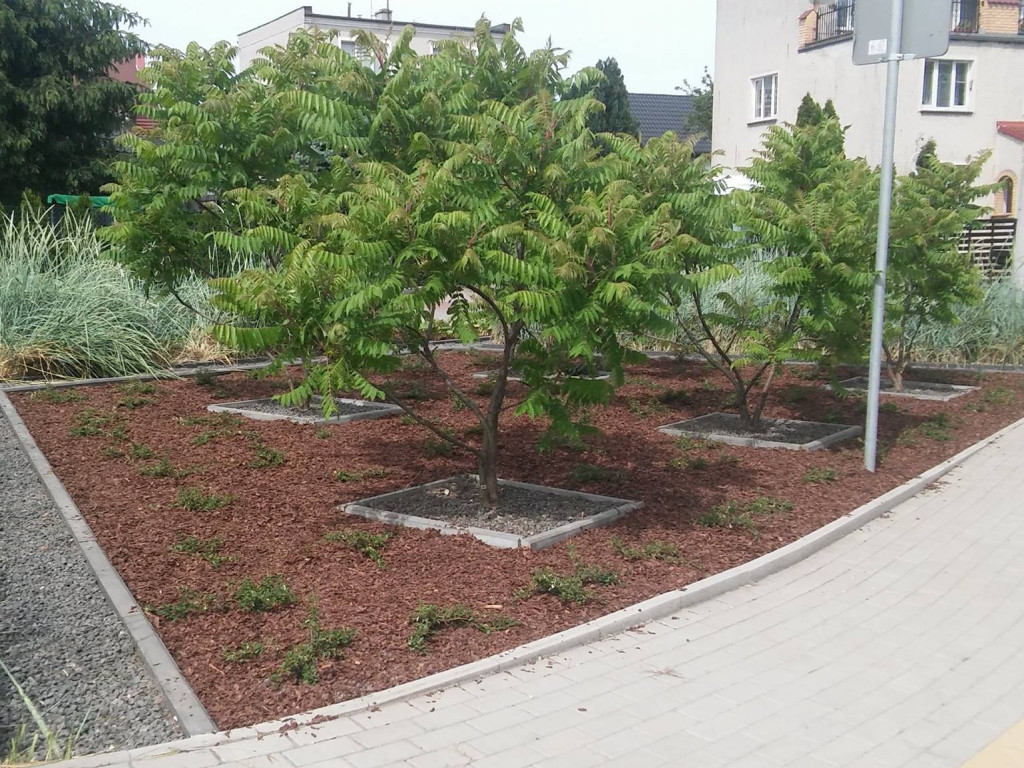 Luboń się zieleni! Nowe skwery w Luboniu!