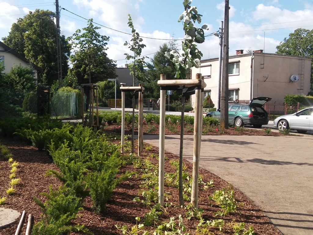 Luboń się zieleni! Nowe skwery w Luboniu!