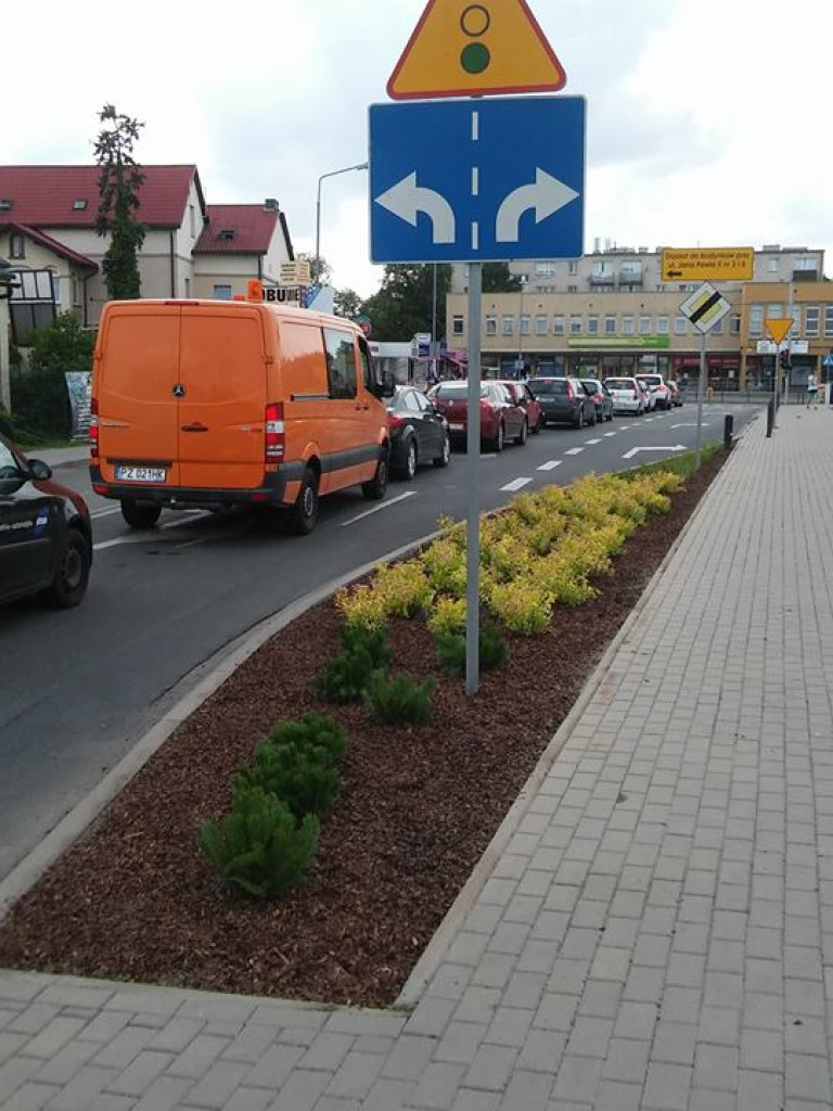 Luboń się zieleni! Nowe skwery w Luboniu!