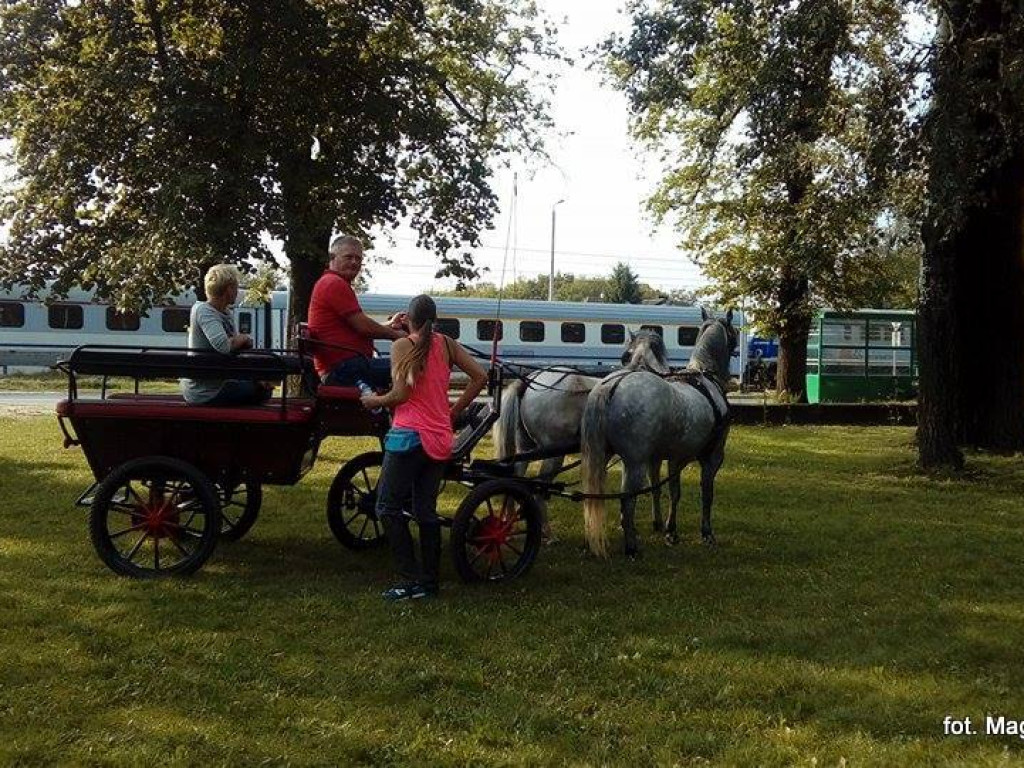 Biba w Lasku - fotorelacja
