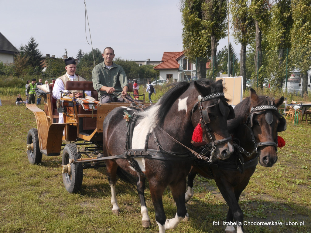 Wielkopolska w cieniu swastyki - fotorelacja i relacja video