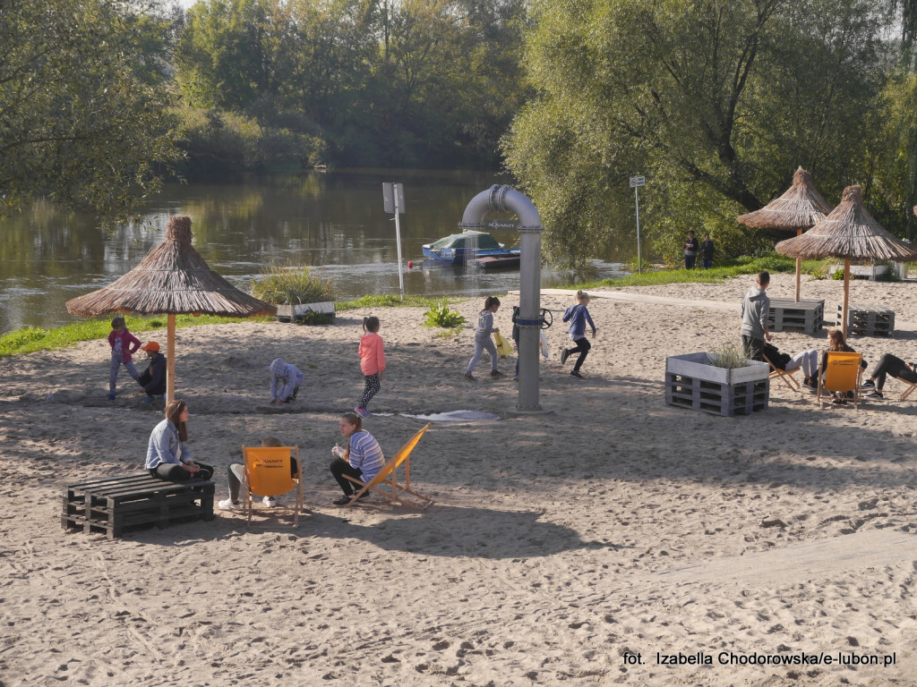 Wspólnie posprzątali brzeg Warty