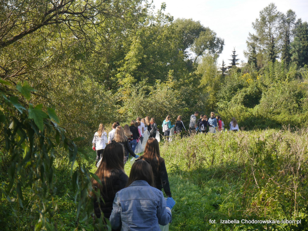 Wspólnie posprzątali brzeg Warty
