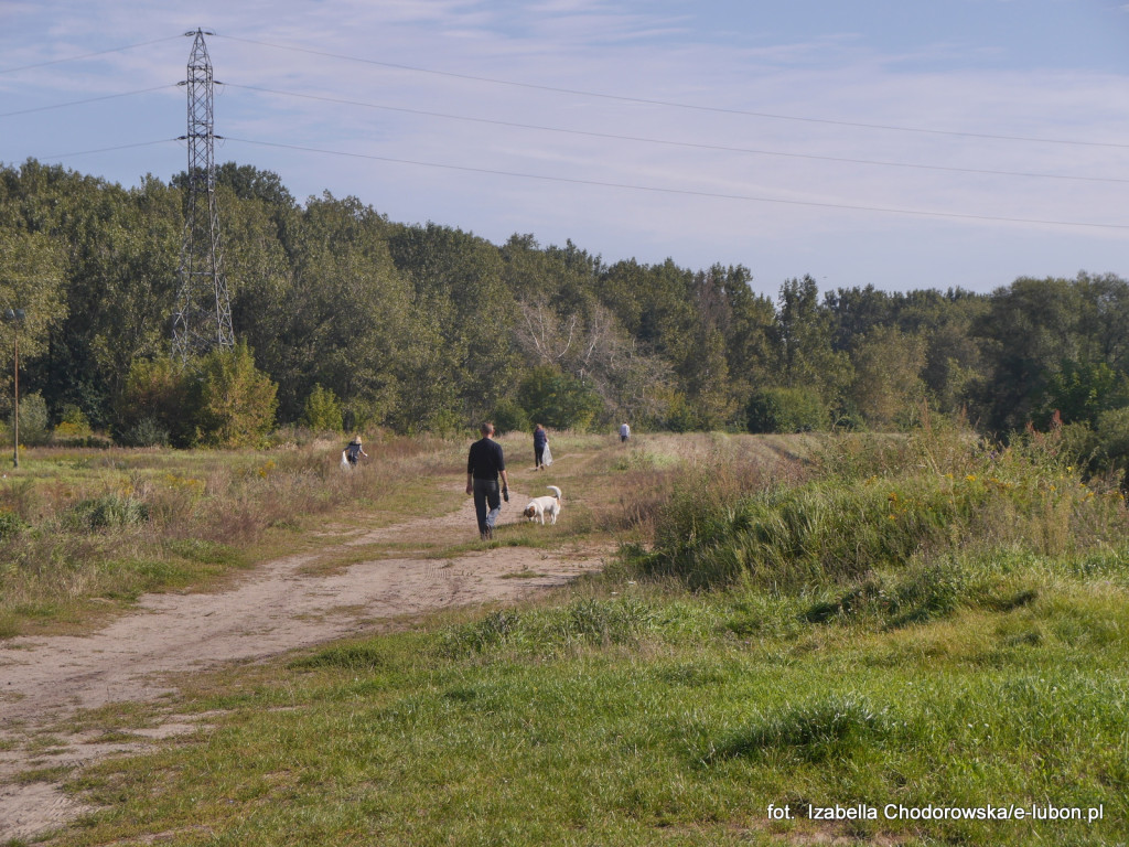 Wspólnie posprzątali brzeg Warty