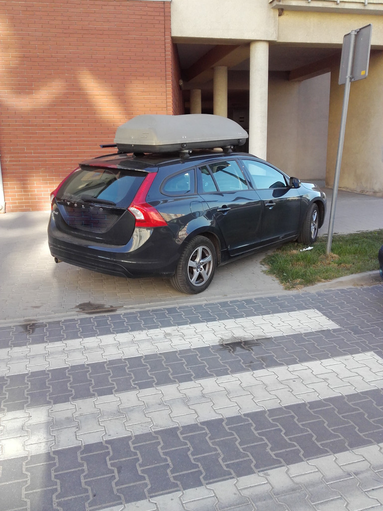 Mistrzowie parkowania?