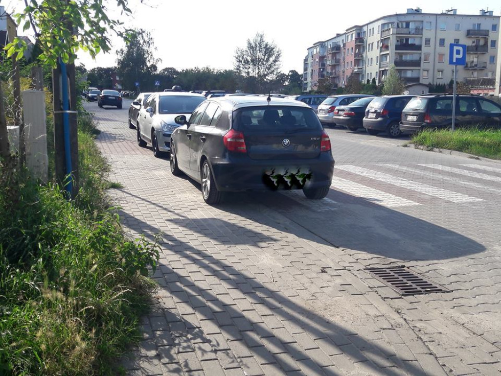 Mistrzowie parkowania?