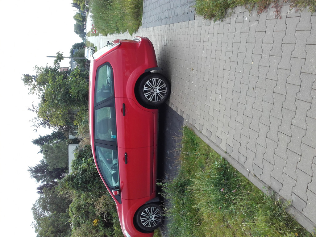 Mistrzowie parkowania?