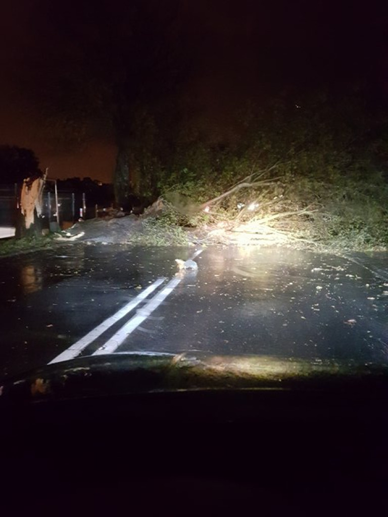 Orkan Ksawery szaleje w Luboniu - AKTUALIZACJA 06.10 godz. 8.50