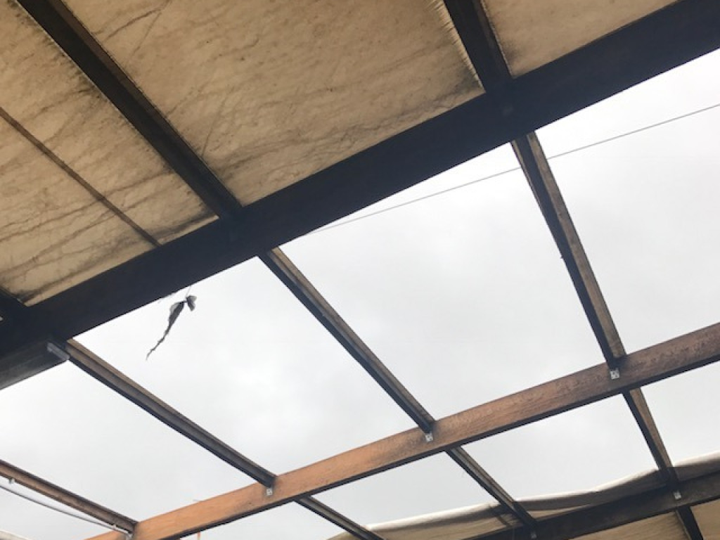 Orkan Ksawery szaleje w Luboniu - AKTUALIZACJA 06.10 godz. 8.50