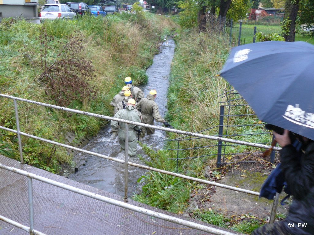 Bieg Pamięci Orląt Lwowskich