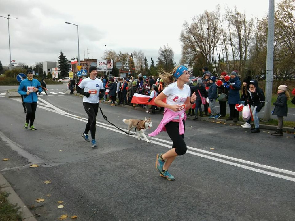 Fotorelacja z 7. Lubońskiego Biegu Niepodległości - czekamy na Wasze zdjęcia [NOWE ZDJĘCIA]