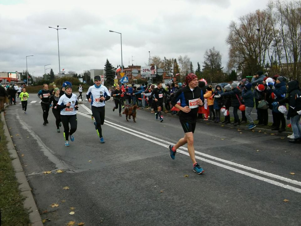 Fotorelacja z 7. Lubońskiego Biegu Niepodległości - czekamy na Wasze zdjęcia [NOWE ZDJĘCIA]