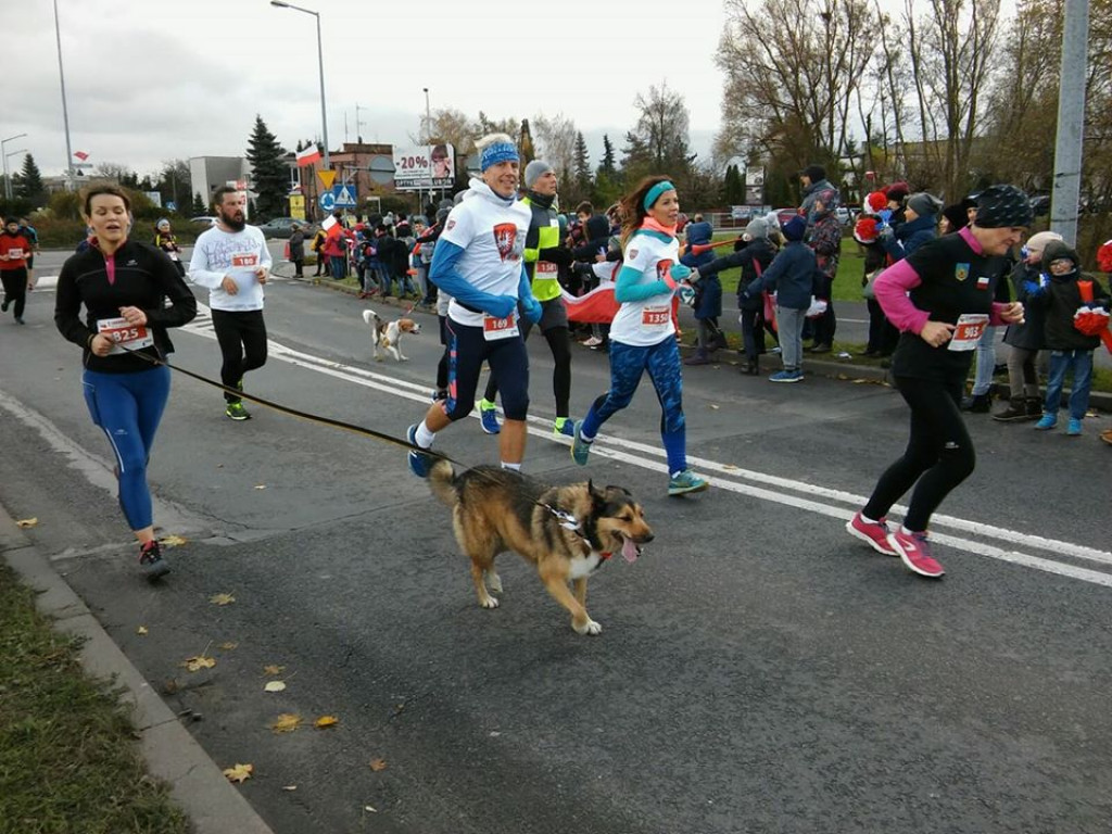 Fotorelacja z 7. Lubońskiego Biegu Niepodległości - czekamy na Wasze zdjęcia [NOWE ZDJĘCIA]