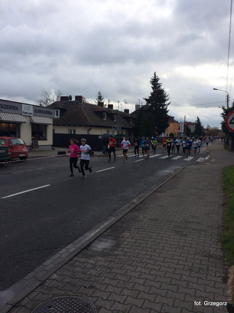 Fotorelacja z 7. Lubońskiego Biegu Niepodległości - czekamy na Wasze zdjęcia [NOWE ZDJĘCIA]