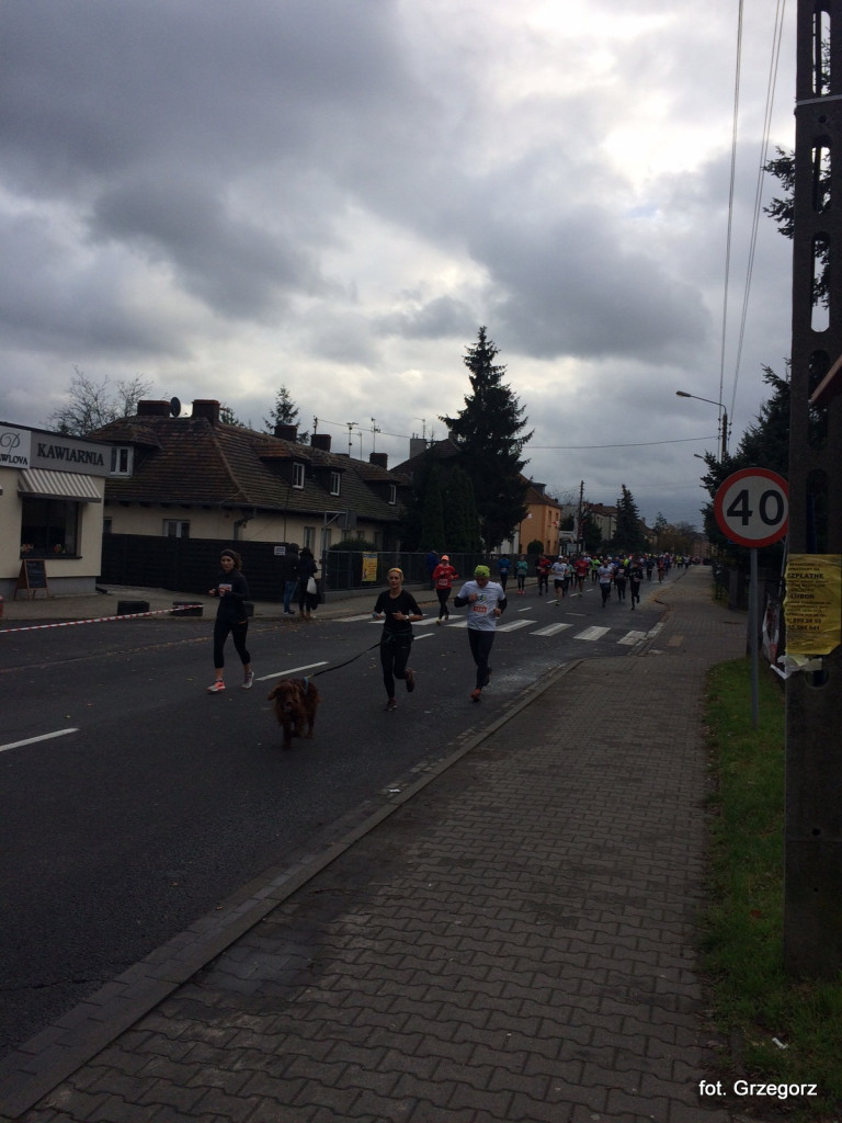 Fotorelacja z 7. Lubońskiego Biegu Niepodległości - czekamy na Wasze zdjęcia [NOWE ZDJĘCIA]