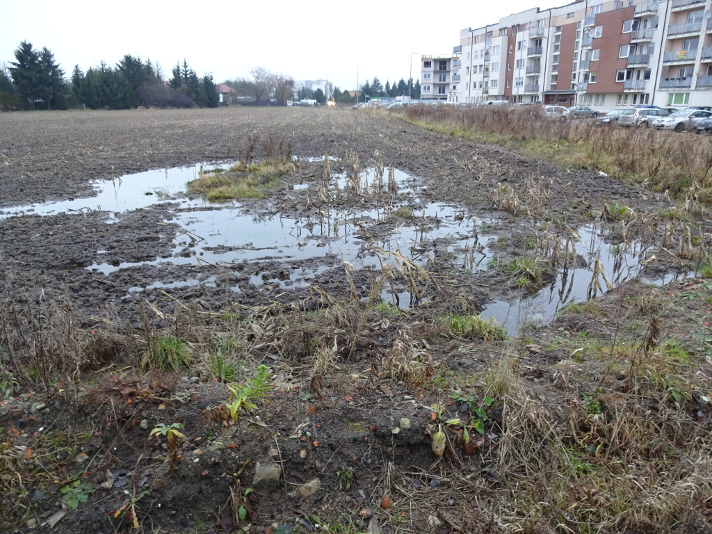 Problemy mieszkańców na ulicy Wschodniej i Szymanowskiego - list do redakcji