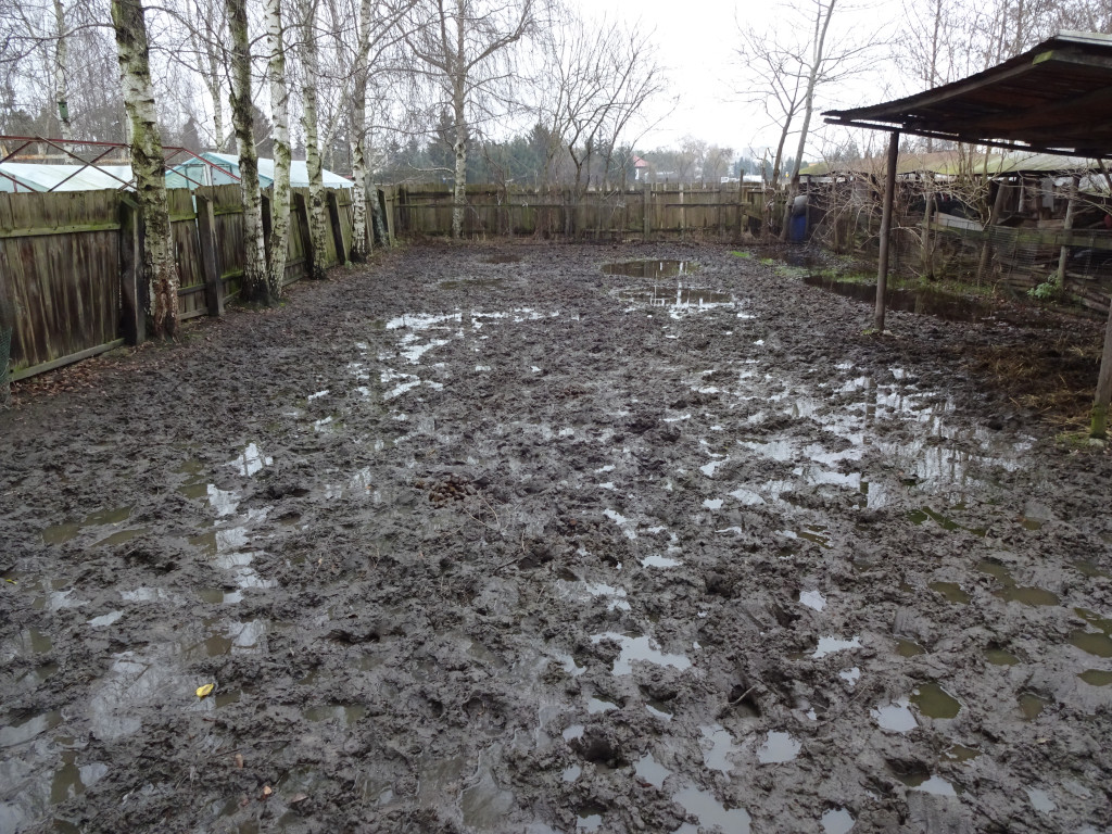 Problemy mieszkańców na ulicy Wschodniej i Szymanowskiego - list do redakcji