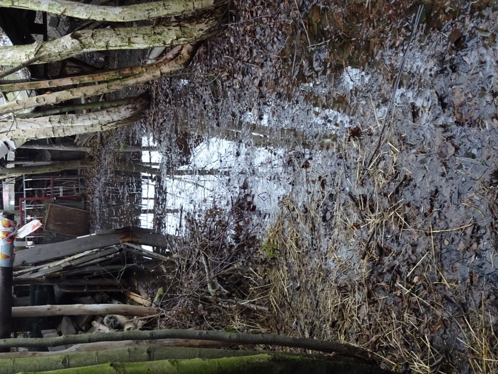 Problemy mieszkańców na ulicy Wschodniej i Szymanowskiego - list do redakcji