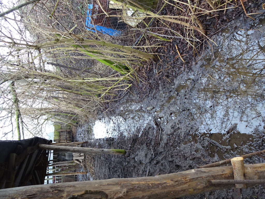 Problemy mieszkańców na ulicy Wschodniej i Szymanowskiego - list do redakcji