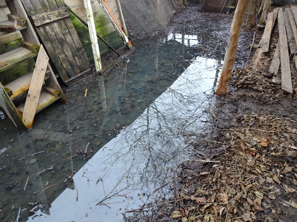 Problemy mieszkańców na ulicy Wschodniej i Szymanowskiego - list do redakcji