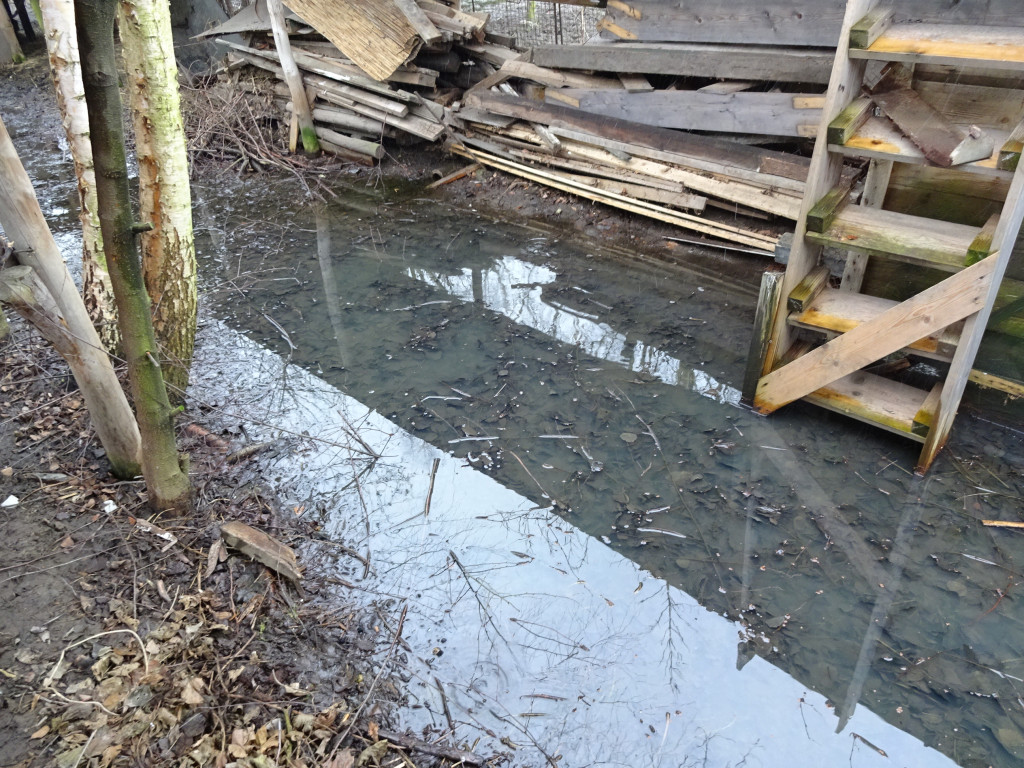 Problemy mieszkańców na ulicy Wschodniej i Szymanowskiego - list do redakcji