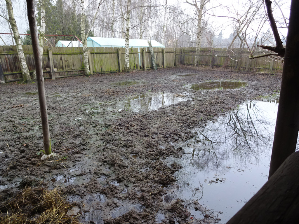 Problemy mieszkańców na ulicy Wschodniej i Szymanowskiego - list do redakcji