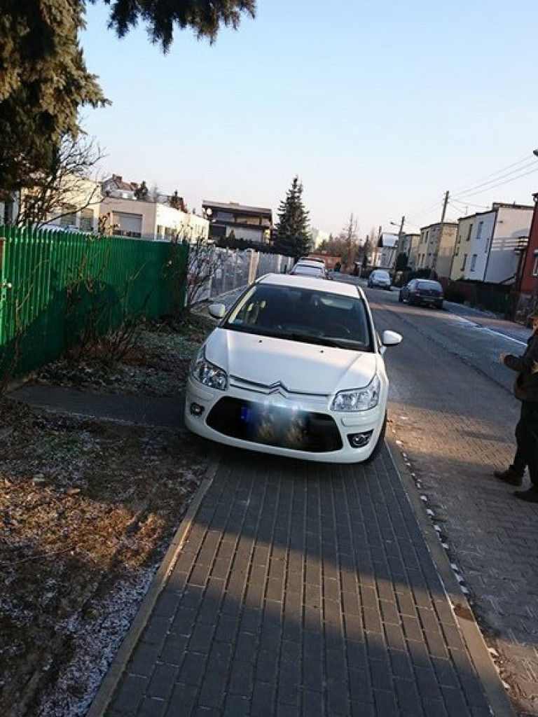 Mistrzowie parkowania?