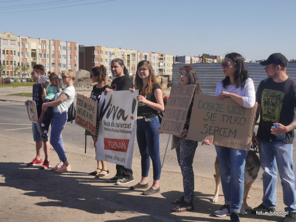 NIE dla cyrku w Luboniu - relacja z pikiety