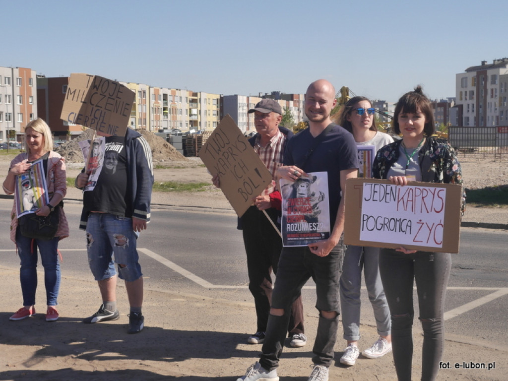 NIE dla cyrku w Luboniu - relacja z pikiety