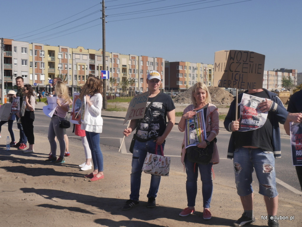 NIE dla cyrku w Luboniu - relacja z pikiety