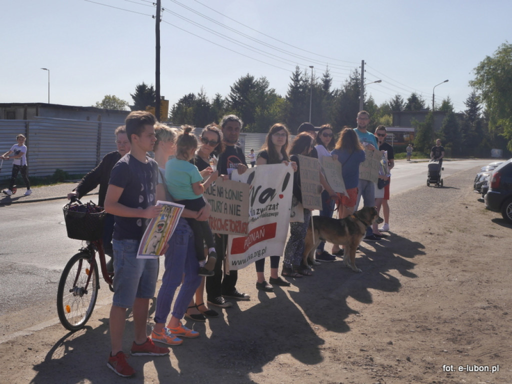 NIE dla cyrku w Luboniu - relacja z pikiety