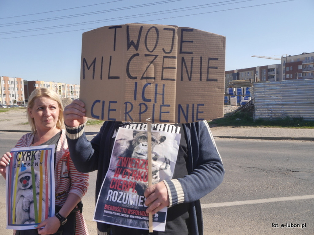 NIE dla cyrku w Luboniu - relacja z pikiety