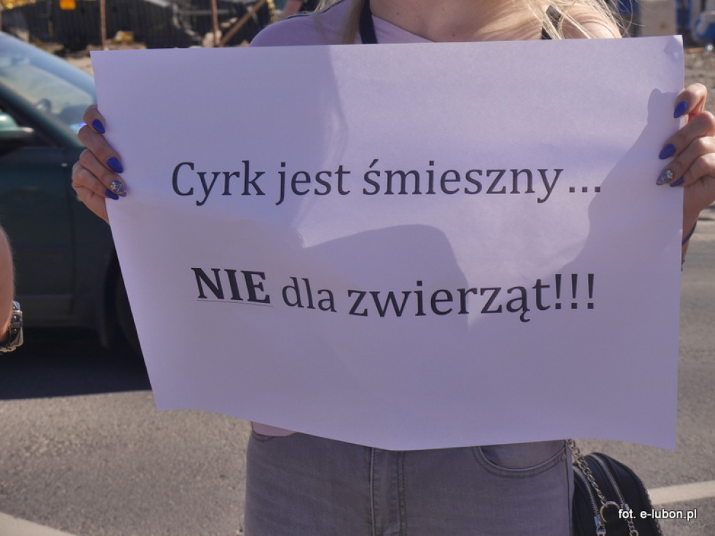 NIE dla cyrku w Luboniu - relacja z pikiety