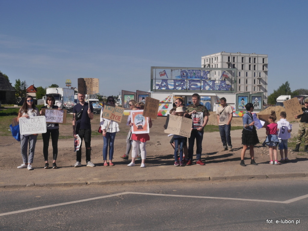 NIE dla cyrku w Luboniu - relacja z pikiety